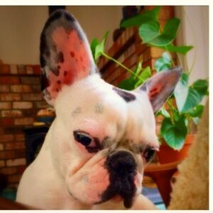 Meet your Posher, Leah